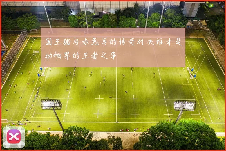 国王猪与赤兔马的传奇对决谁才是动物界的王者之争