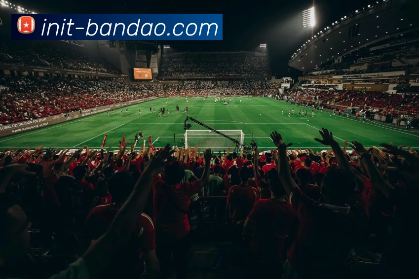 BANDAO SPORTS服务体系